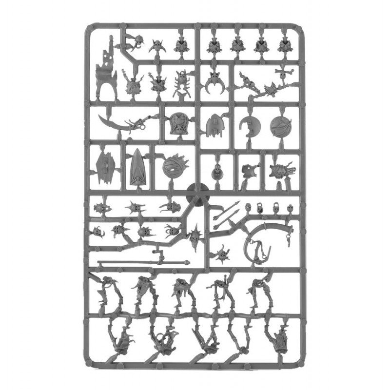 Warhammer Age Of Sigmar - Deathrattle Skeleton Warriors - Imagen 3