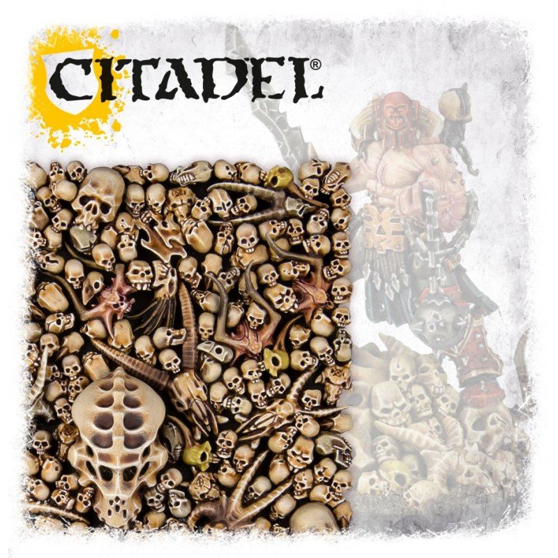 50238-thickbox_default-CITADEL-SKULLS.jpg