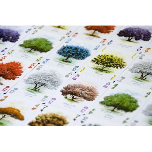 Arboretum (Castellano) - Imagen 2