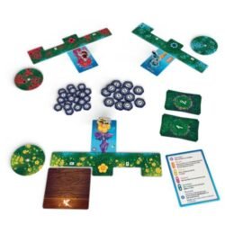 Fairy Ring Componentes