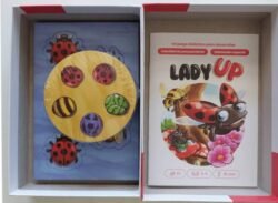 Lady Up Componentes