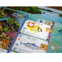 Finspan cartas