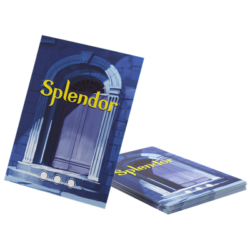 Splendor Art Sleeves