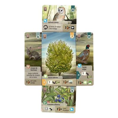 Forest Shuffle Dartmoor Forest Shuffle Dartmoor