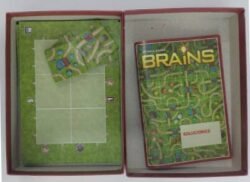 Brains: Jardín Japonés Componentes