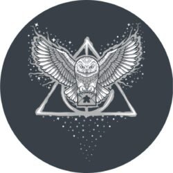 Camiseta Unisex Meeple Escuela de Magia - Imagen 2